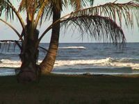 Passeios, Turismo - Jund� Natural